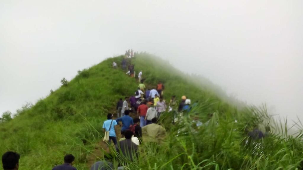 Munnar Trecking Adventure