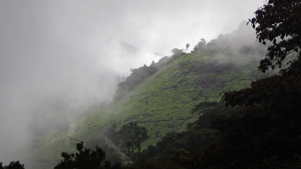 Pothanmedu view point